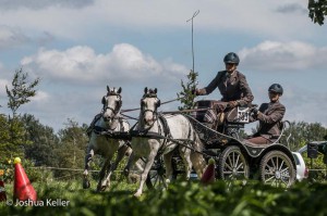 dressuur en vaardigheid  nienoord 10-8-2015  joshua keller-0437     